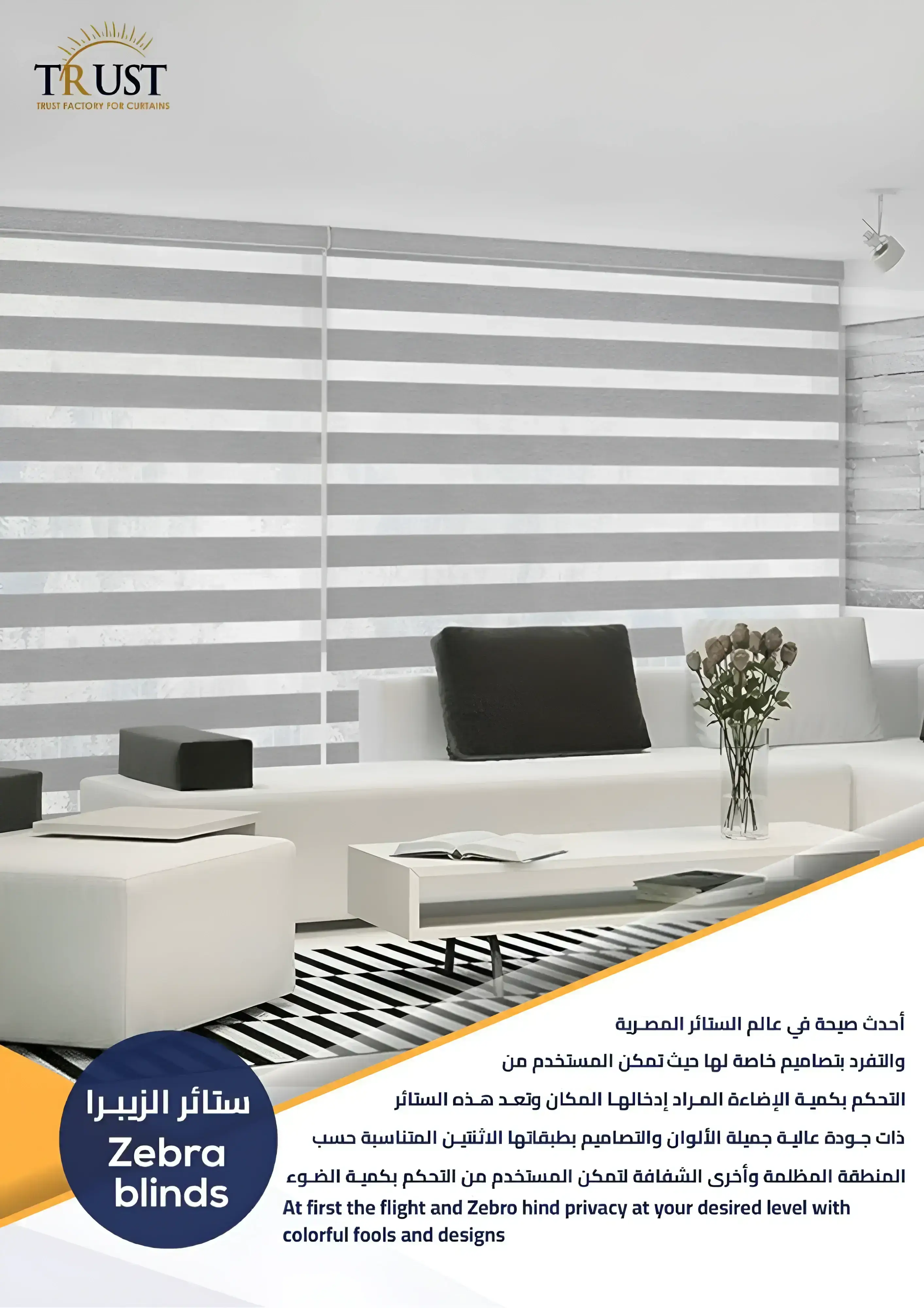 Zebra Blinds